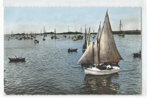 Saint aubin sur mer - saint,
